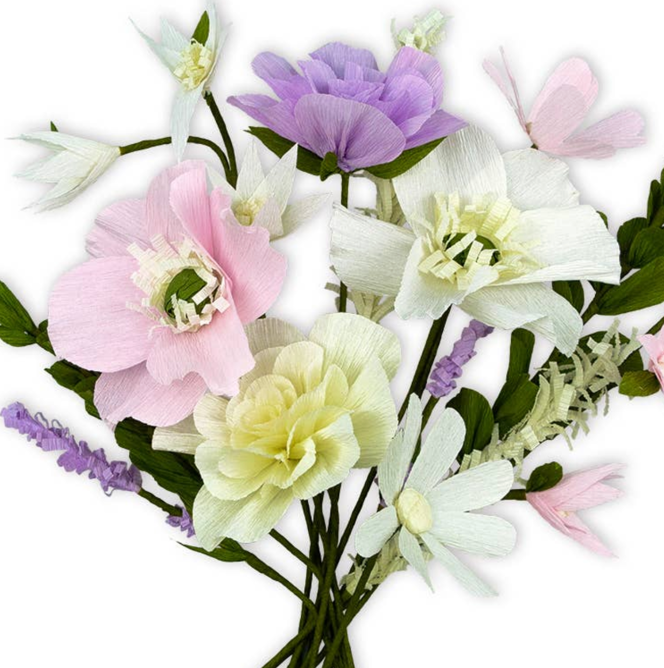 Crepeblomster