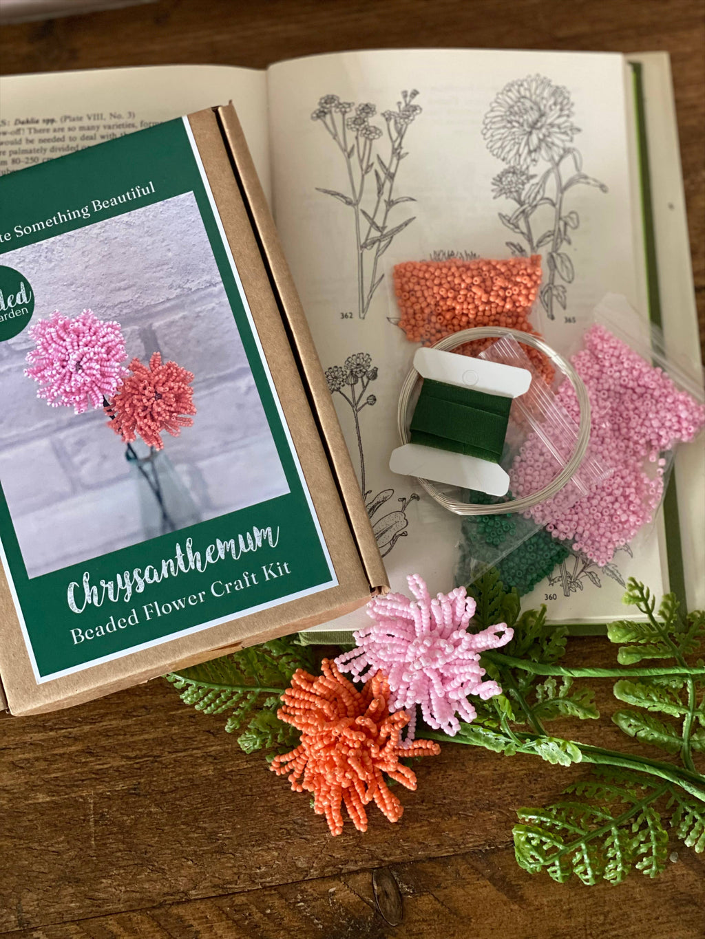 Perleblomster, krysantemum, 2 stk