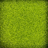 4, Transparent Lime Green