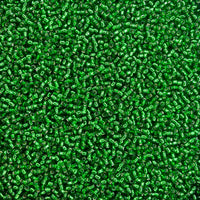 27B, Silver-Lined Grass Green