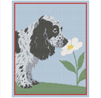 Cocker Spaniel