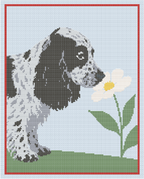 Cockerspaniel
