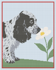 Cockerspaniel